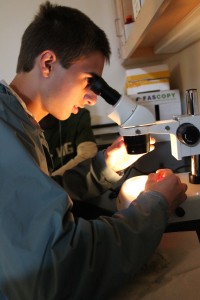 Student at Microscope