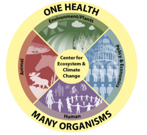 One Health and the Environment Image