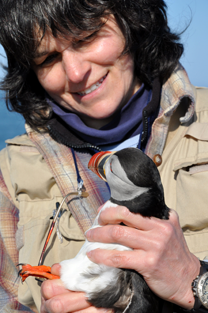 Professor Holberton with puffin