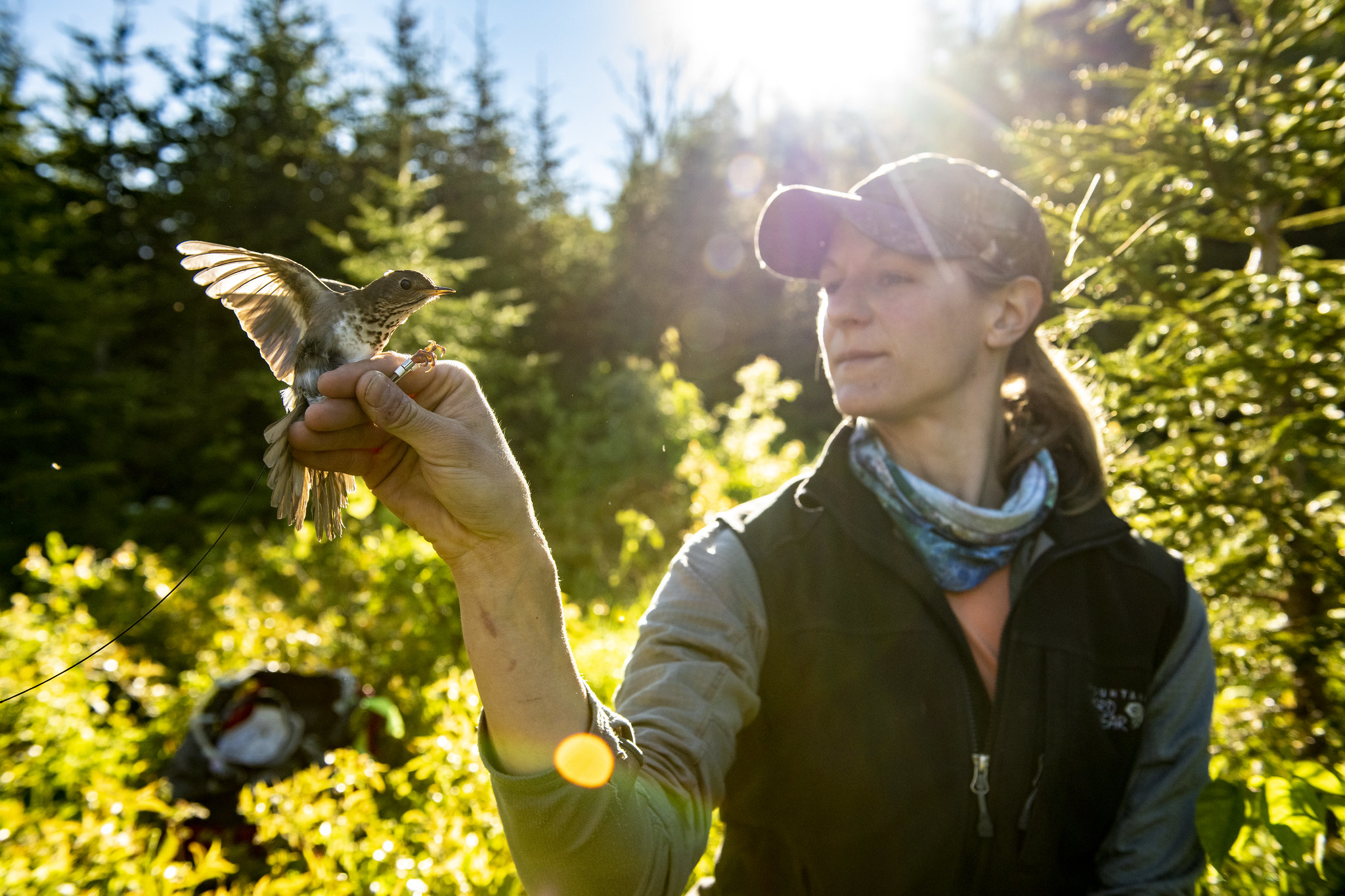 Student with banded bird