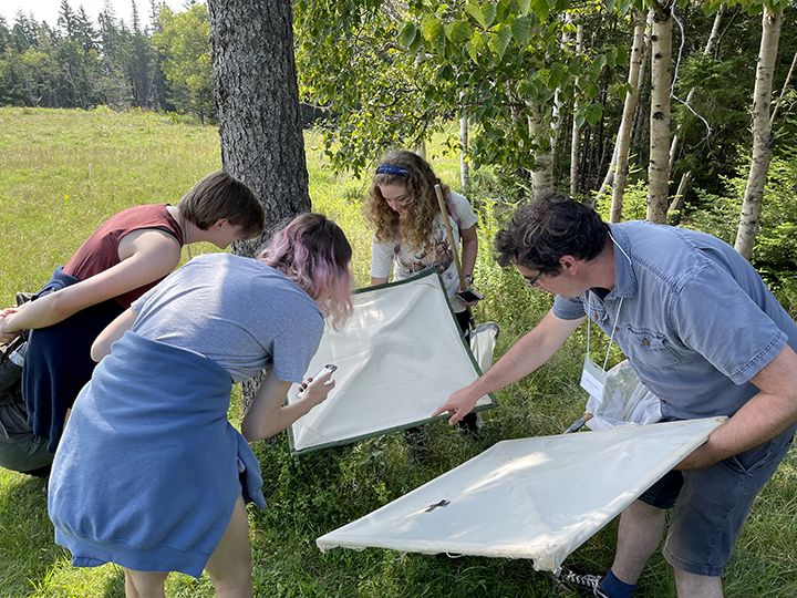 Students in the field with Dr Fanning at Schoodic 2021