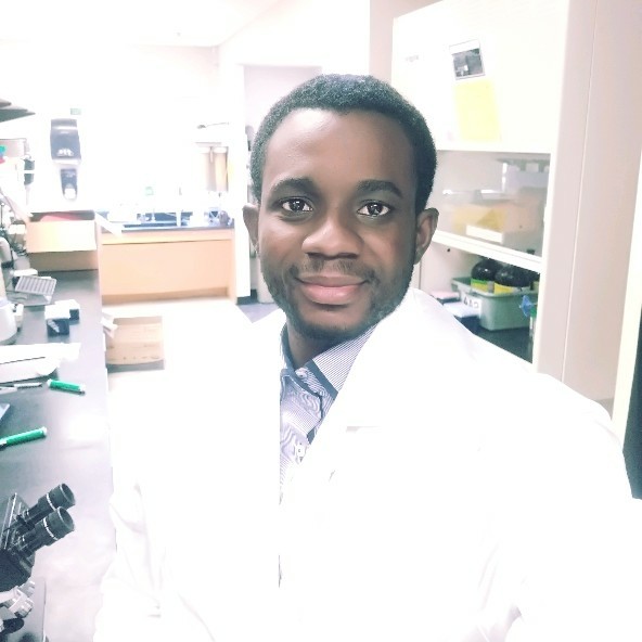 Tayo Adekeye