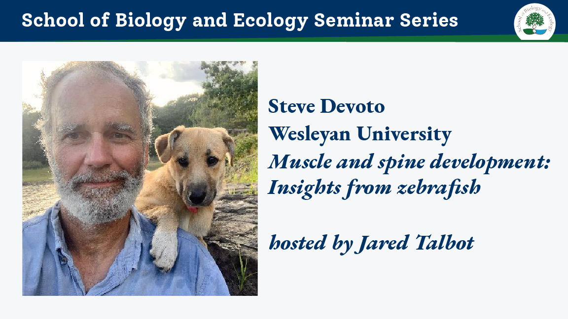 Ad for Steve Devoto's seminar talk, with image of a man with a white beard and a small yellow dog on his shoulder