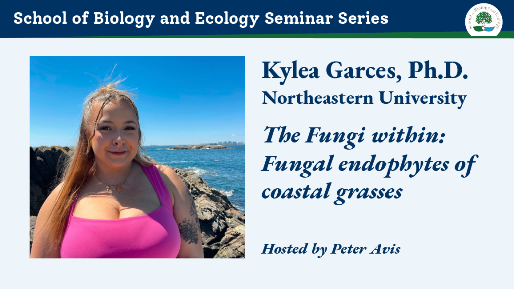 Kylea Garces seminar ad banner with photo of young woman with long blonde hair, her bangs in braids, wearing a bright pink tank top and standing on a rocky seashore