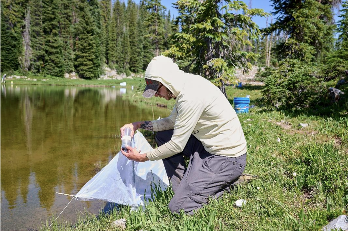 Man kneeling at the edge of a pond, wearing a hoodie over a baseball cap, and holding sampling equipment.