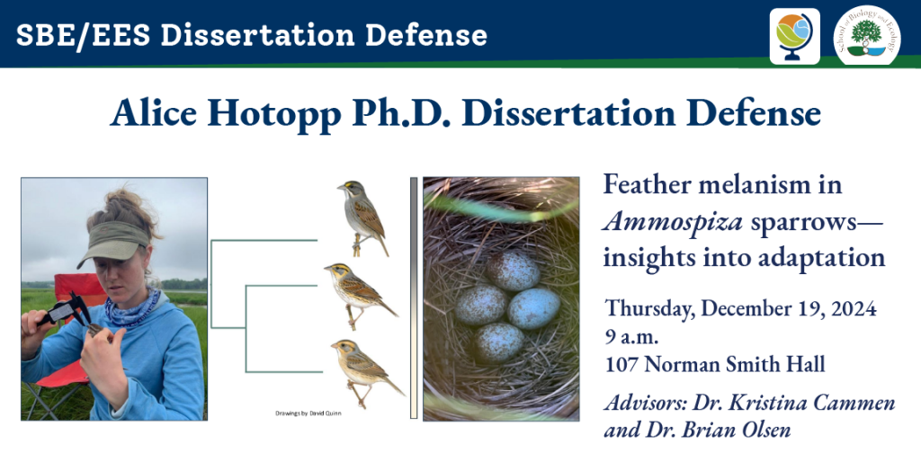 Alice Hotopp Ph.D. defense banner ad, with photo of Alice measuring a sparrow's beak, a chart of sparrows, and a photo of four eggs in a nest