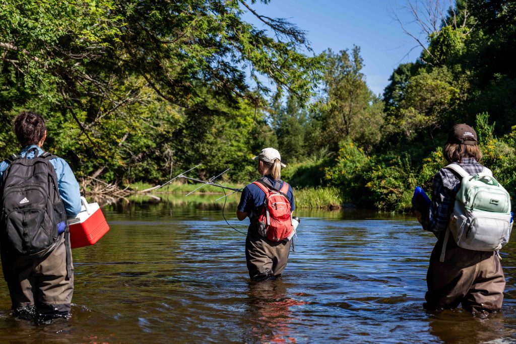 Graduate student Kara SnataLucia and field researchers stand knee-deep in a river.