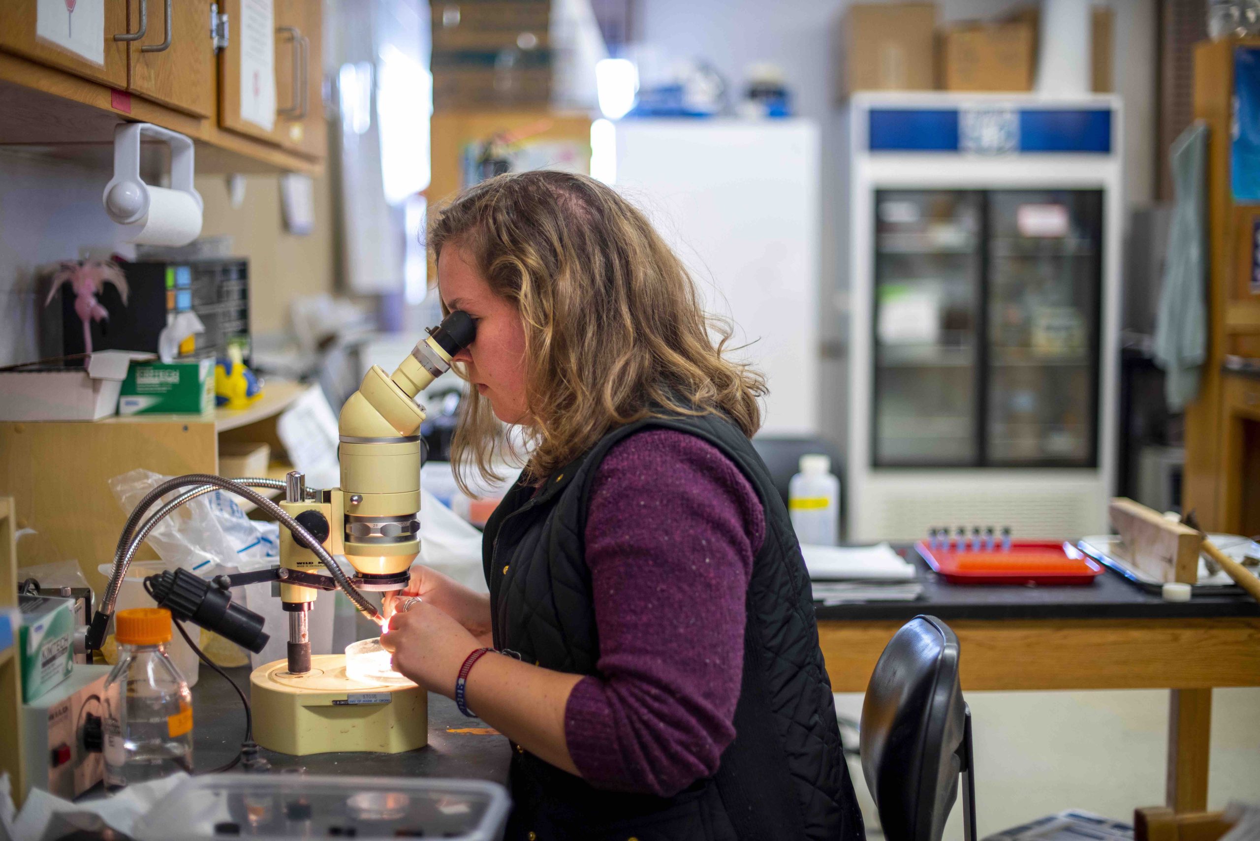 STUDENT LOOKING THROUGH MICROSCOPE