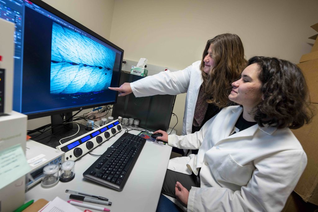 Clarissa Henry, Professor of Biological Sciences works in her Hitchner Hall lab with her technician Claire Schaffer (Honors Alumna) and GSBSE PhD candidate Kodey Silknitter.