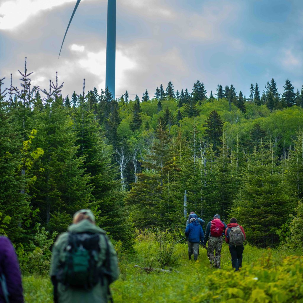 Student field researchers in field