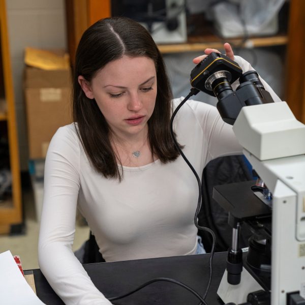 Student working with microscope