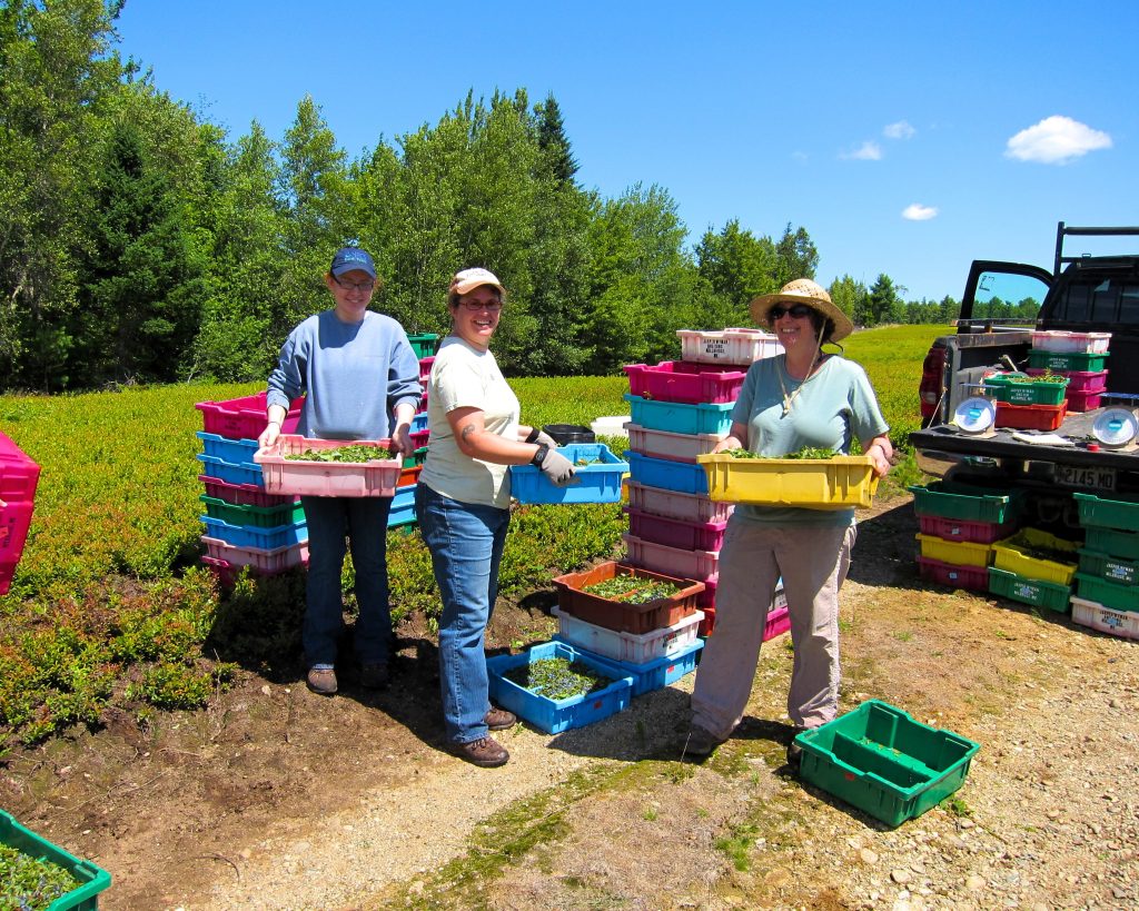 Seanna Annis students doing field work