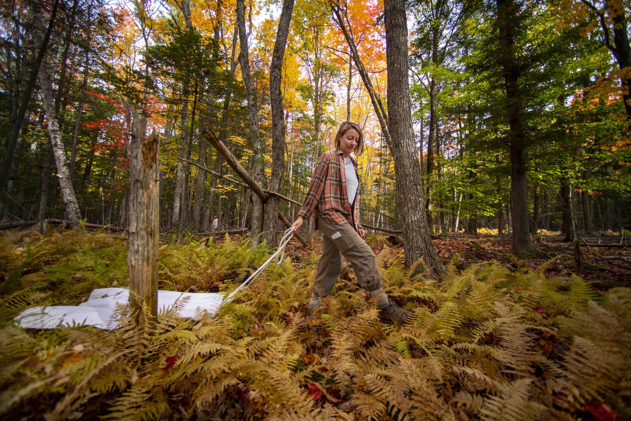 Student pulls tick net
