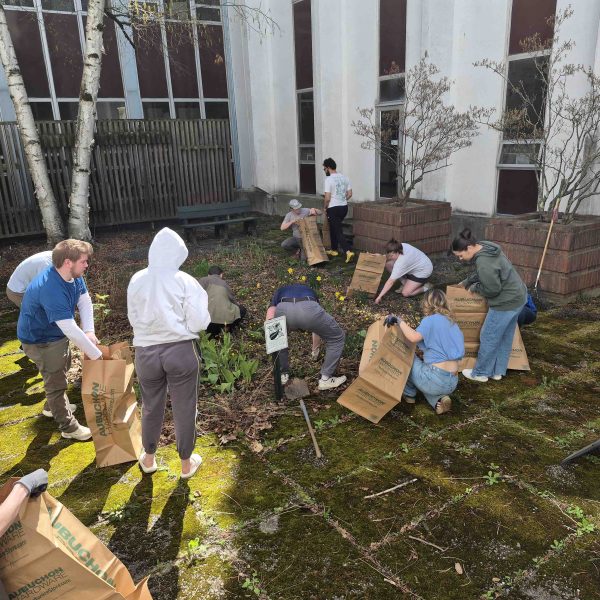 Students garden in Murray Hall's garden for Maine's Day of service.