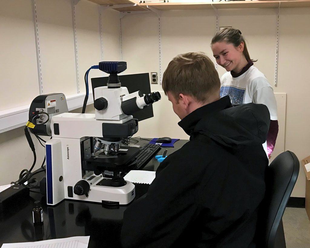 Students in Xuan's lab use microscope