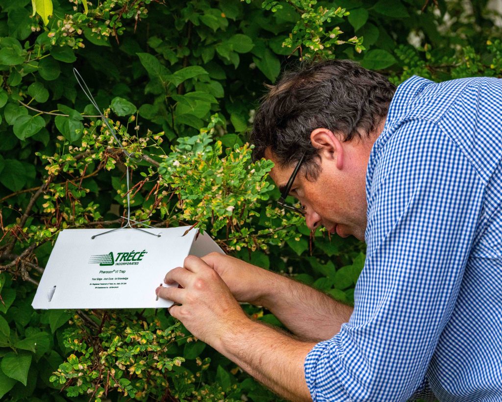 Phil Fanning checks traps