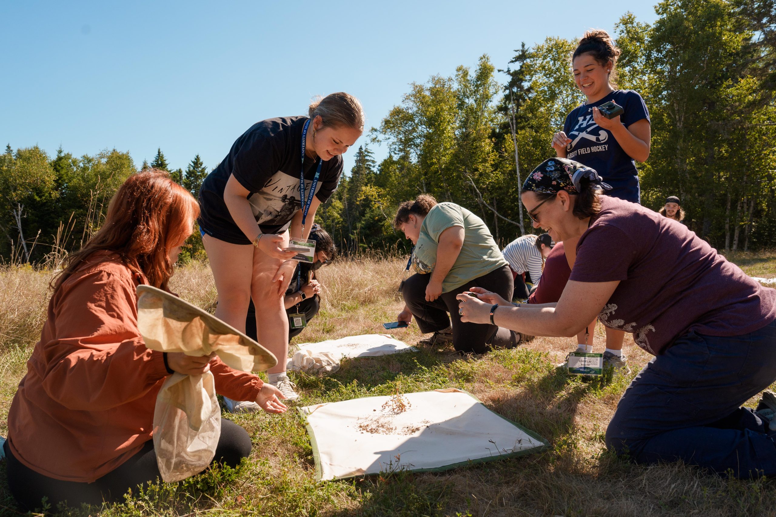 Students participate in RLE research activity