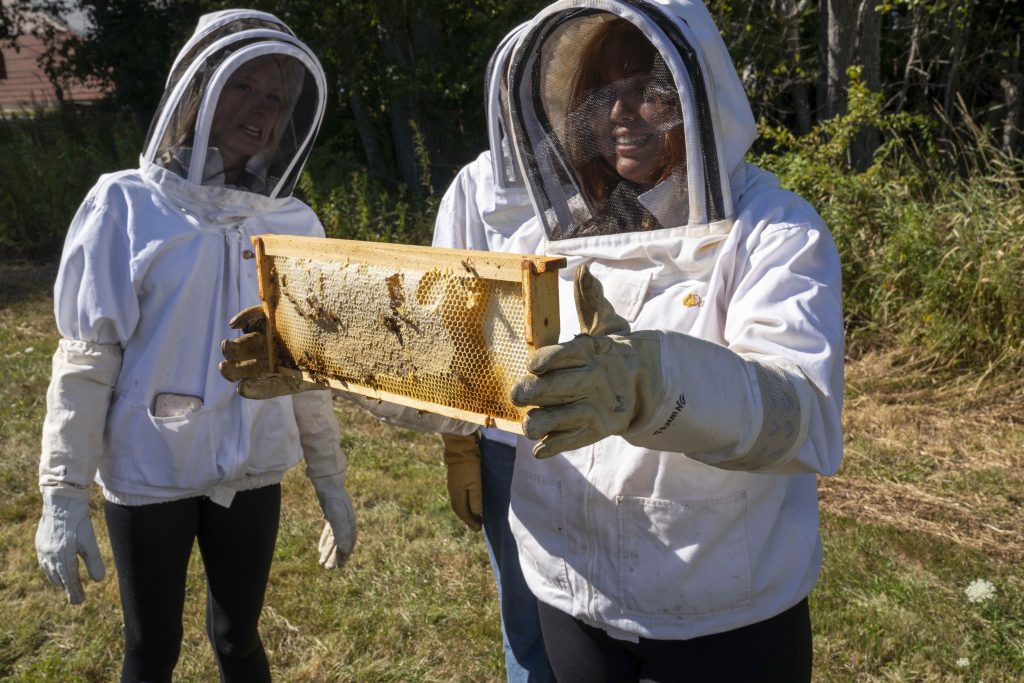 Student holds beehive